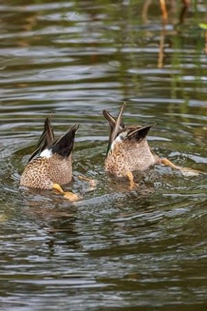 Journal featuring a stunning nature photograph