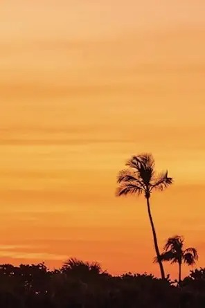 Sunset: Orange Skies