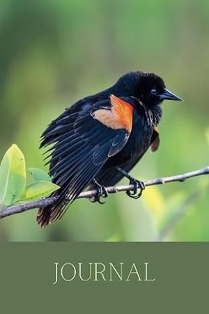 Red-Winged Blackbird: Journal Notebook for Nature Lovers, Birdwatchers, and Outdoor Enthusiasts