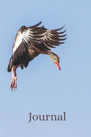 Black Bellied Whistling Duck: Journal Notebook